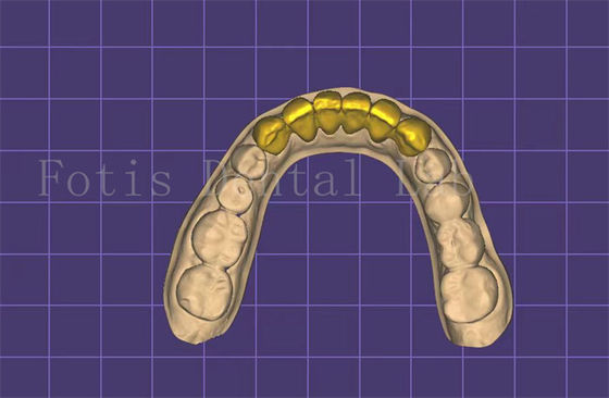Fabricante de modelo de boca dental personalizable autoclavable aprobado por la FDA